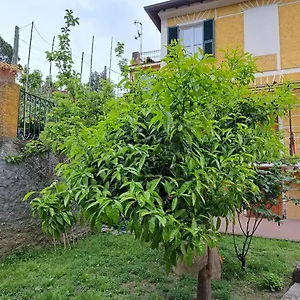 Affittacamere Antonella Italien